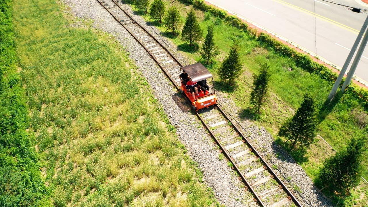 Nami Island, Mount Seorak, and Gapyeong Rail Bike Full-Day Tour from Seoul - image 20