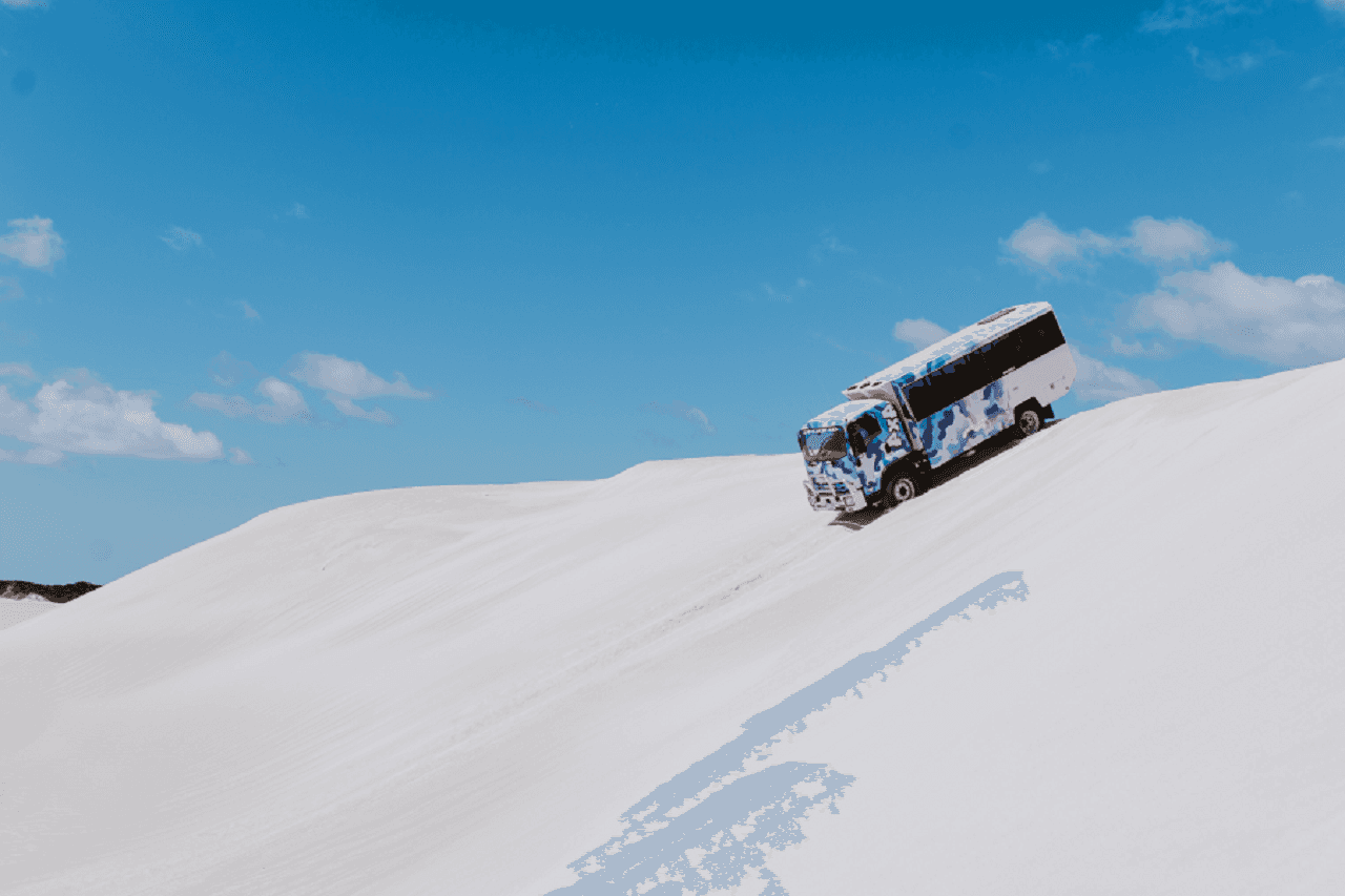 Pinnacles Desert Tour with 4WD Adventure from Perth - image 6