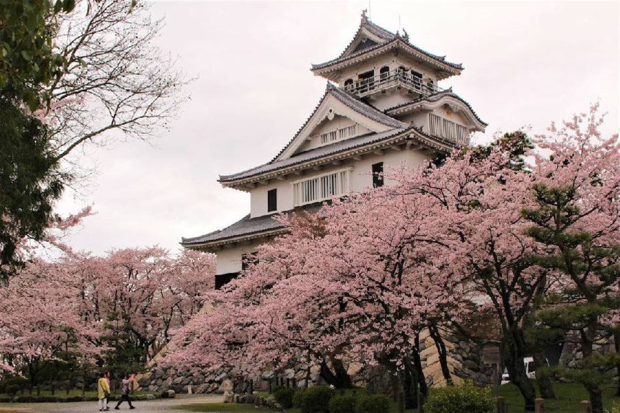Pase JR Kansai WIDE Area - imagen 4