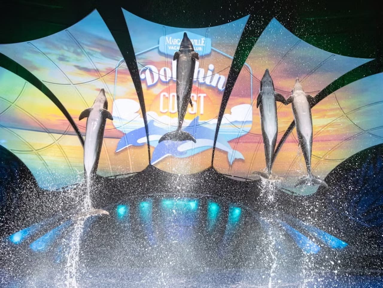Georgia Aquarium: Fast Track Ticket - imagen 5