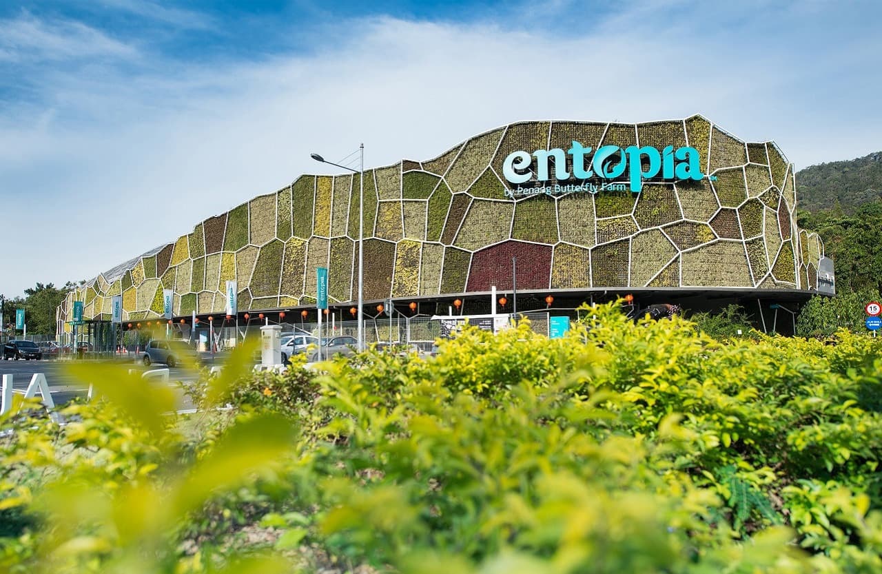 Entopia by Penang Butterfly Farm Ticket - image 2