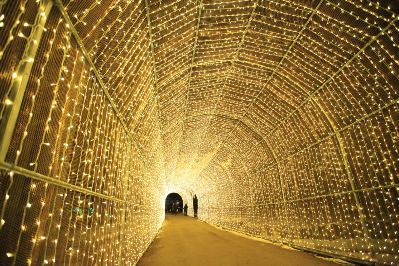 Nami Island and Garden of Morning Calm Tour from Seoul - image 9