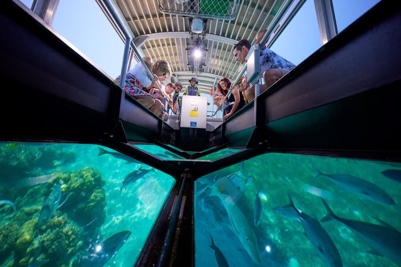 Green Island Great Barrier Reef Half Day Tour from Cairns - image 3
