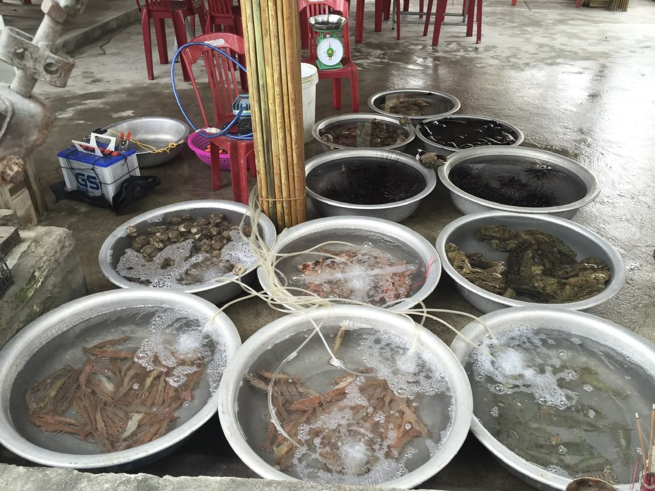 Cham Island Tour from Da Nang - image 9