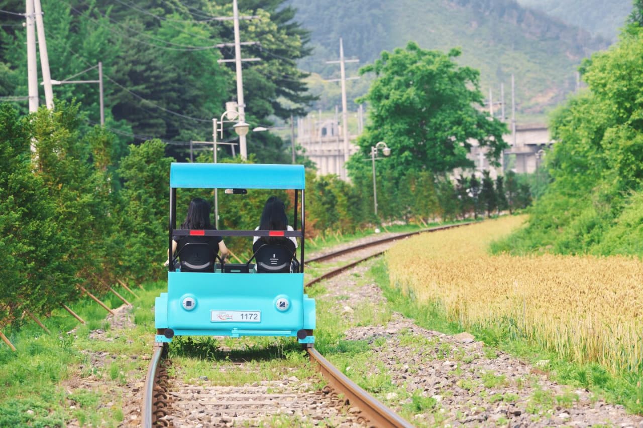 Alpaca World, Nami Island, and Garden of Morning Calm Tour from Seoul - imagen 4