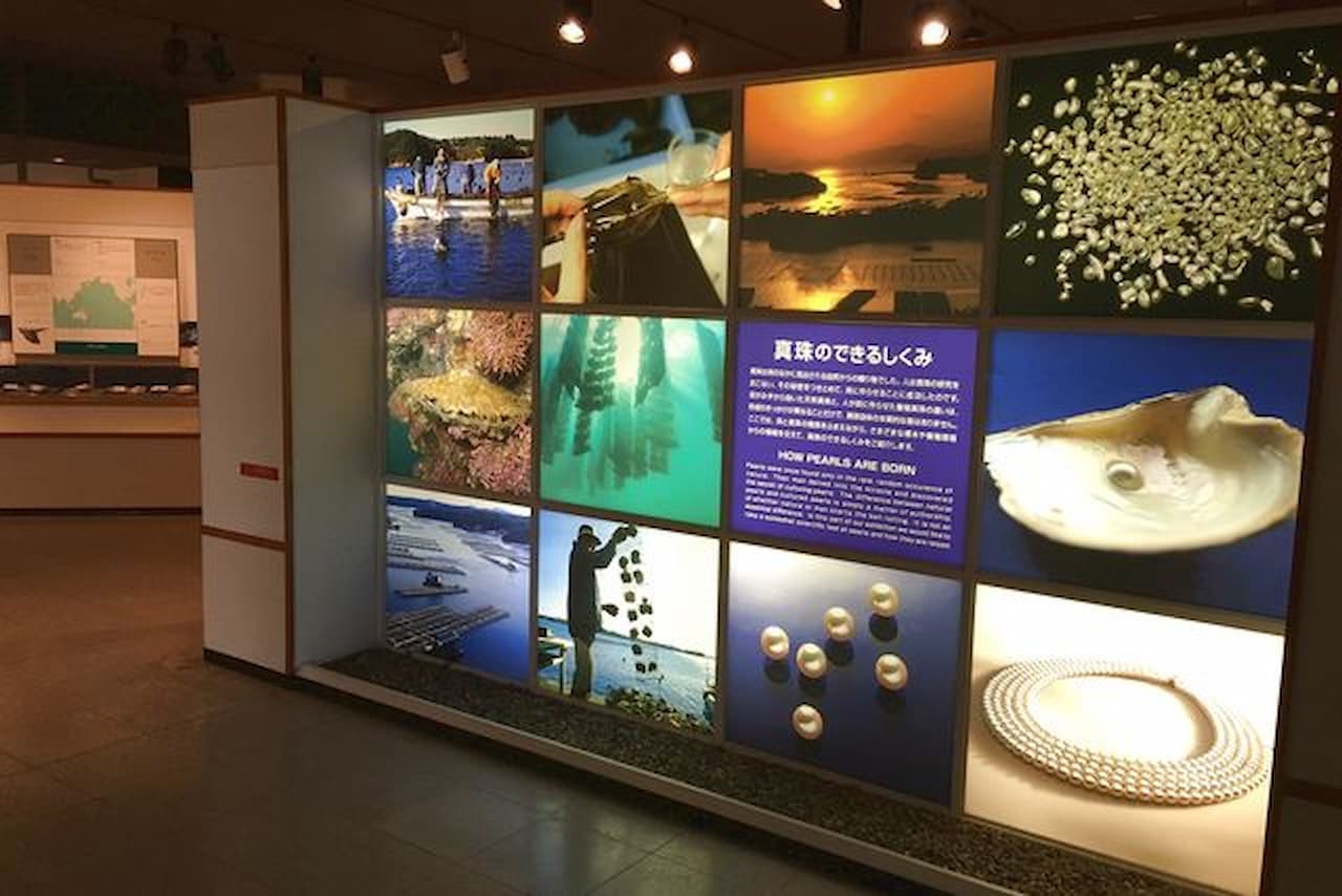 Mikimoto Pearl Island Ticket - image 7