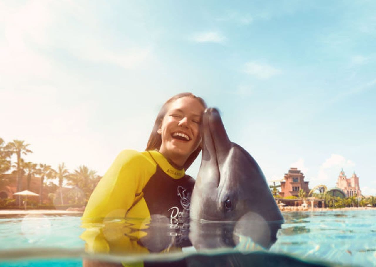 Atlantis Aquaventure World Dubai - Dolphin and Sea Lion Experiences at Atlas Village - main image