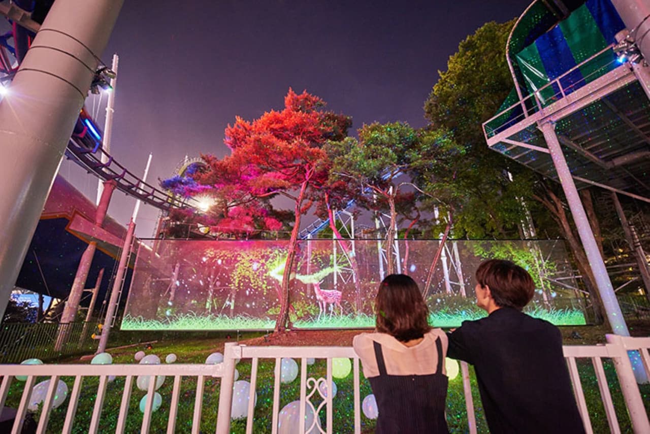 Seoul Land Theme Park - image 4
