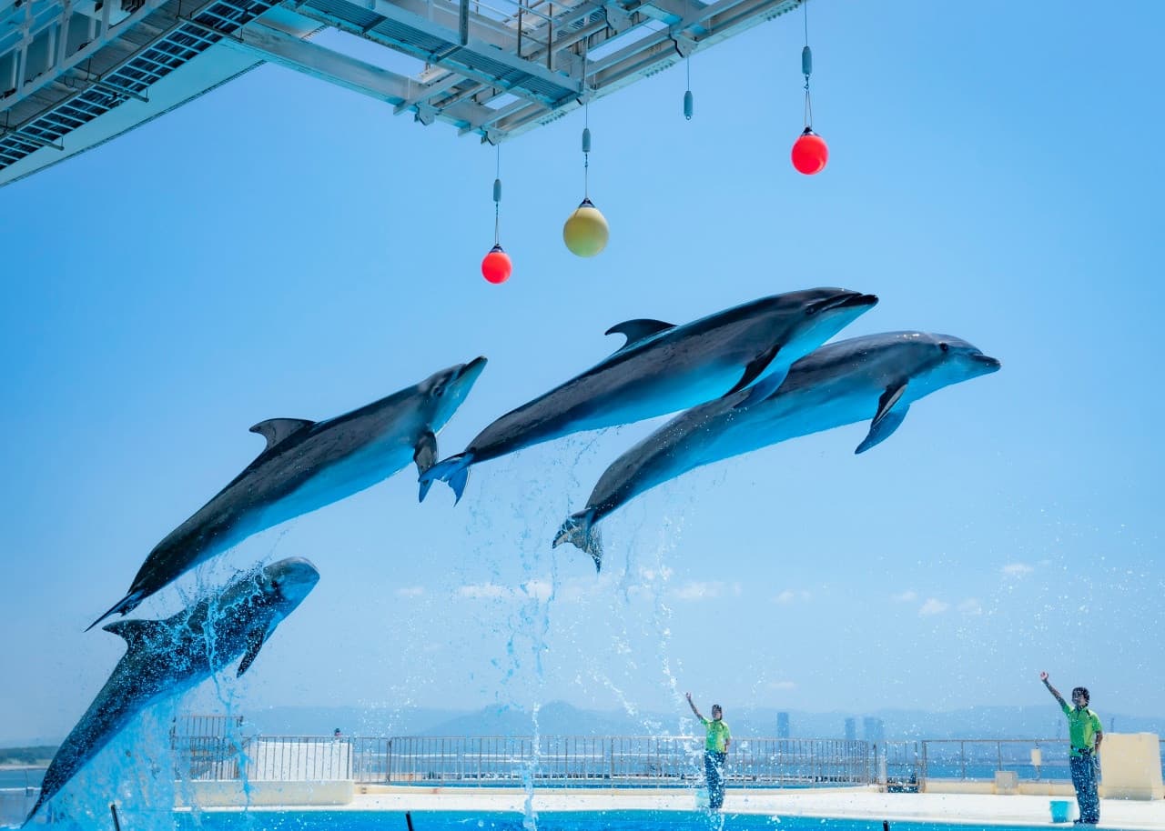 Marine World Uminonakamichi - main image