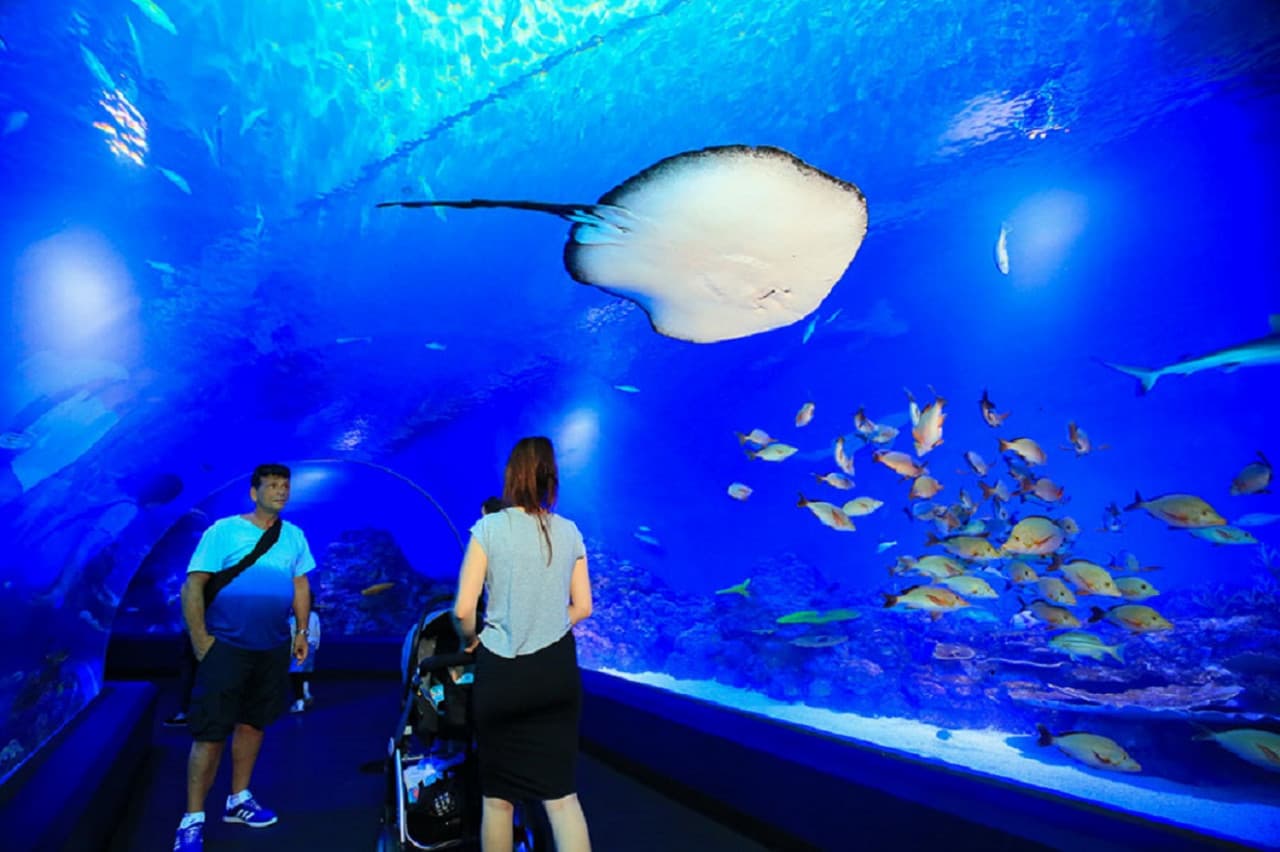 Cairns City Tours - 이미지 10