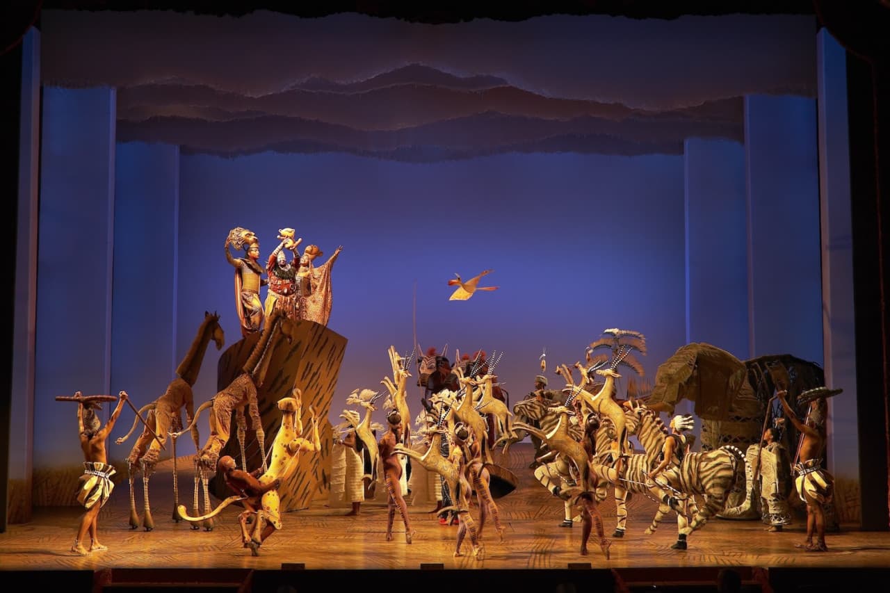 Entrada para el musical de Broadway El Rey León en Nueva York - imagen 6