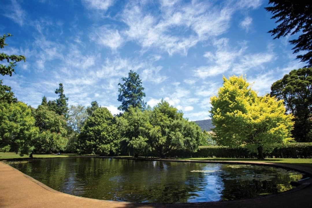 Russell Falls Tour from Hobart - imagen 4