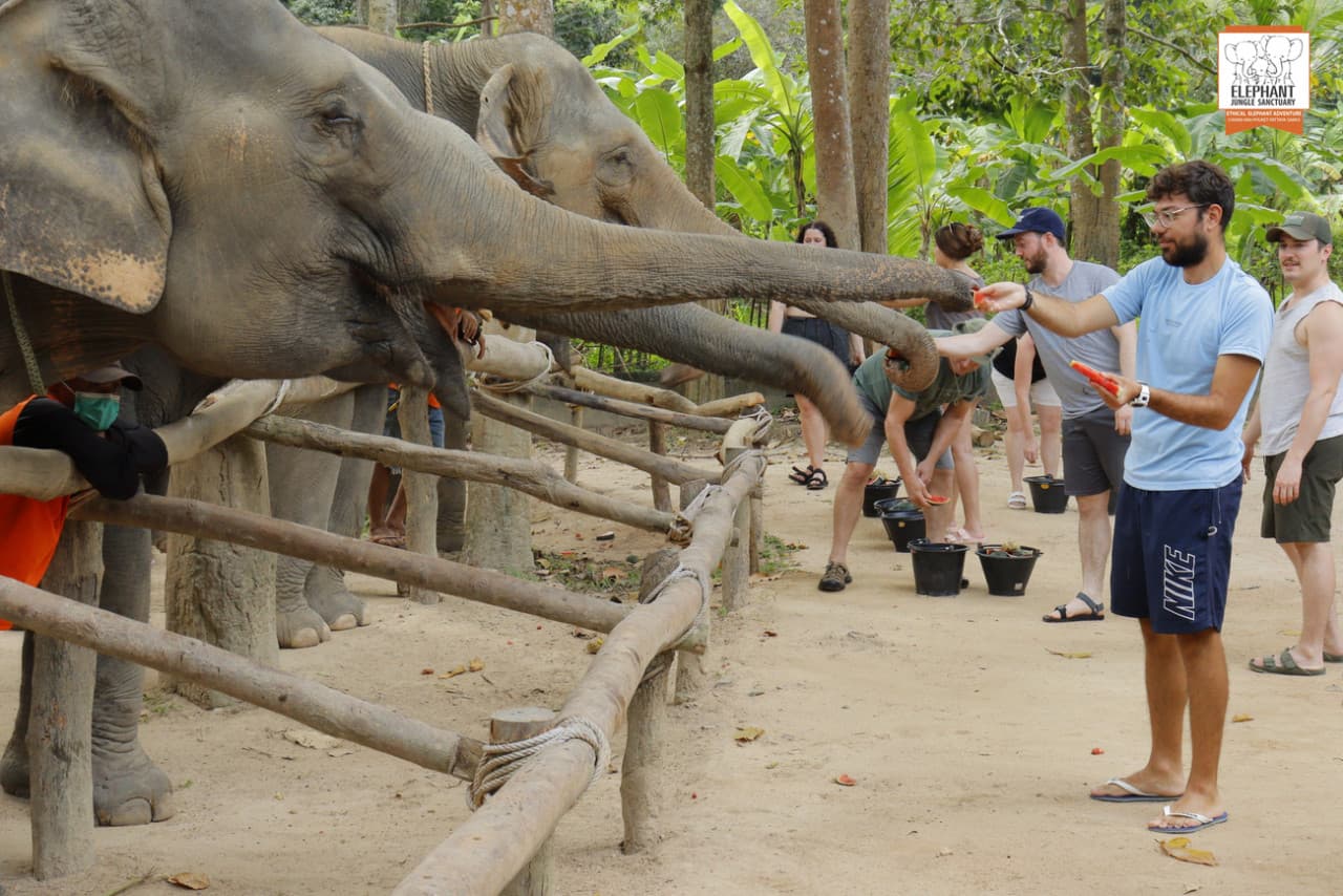 Elephant Jungle Sanctuary Koh Samui - image 7