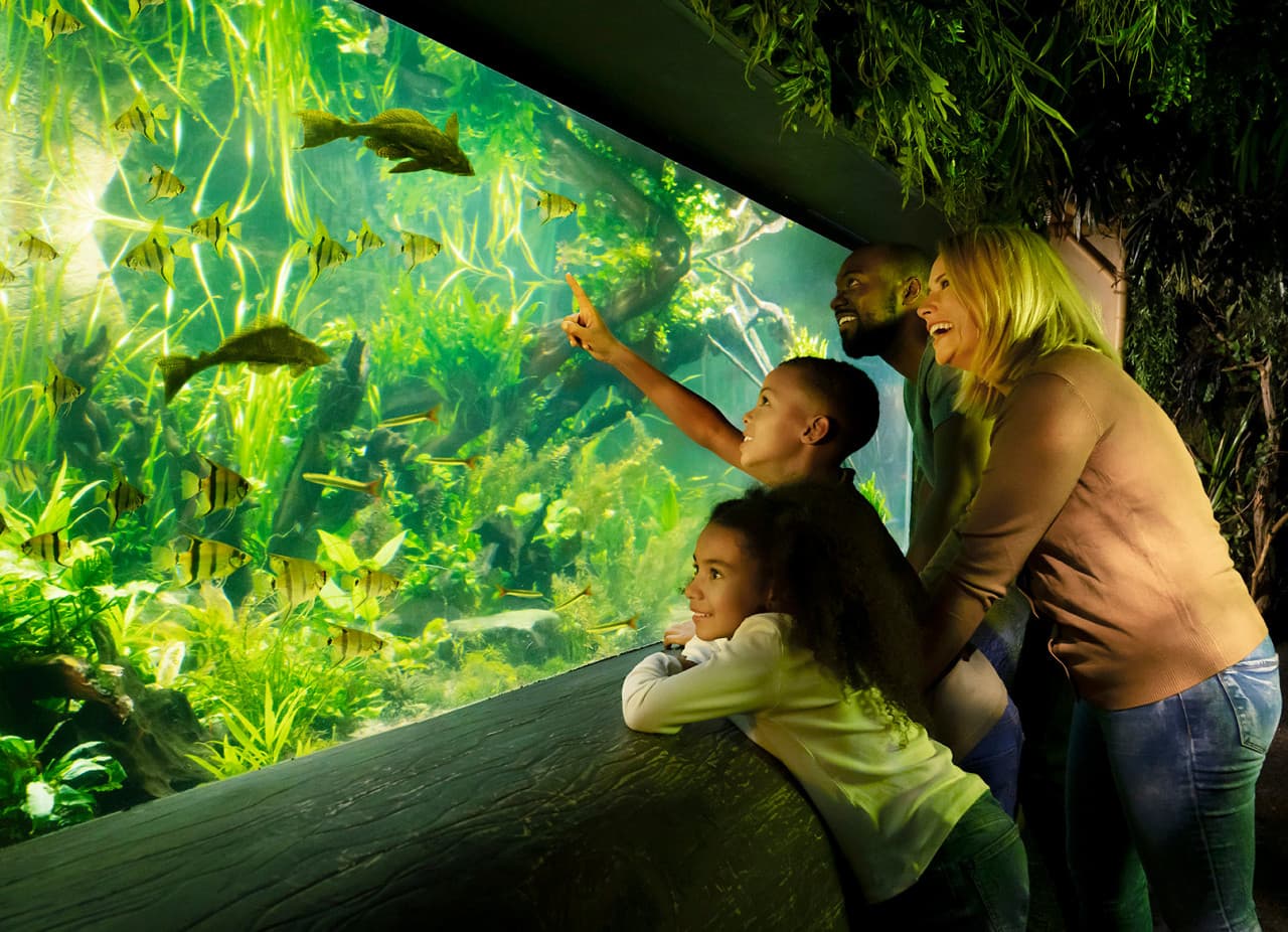 COMBO: London Eye + Madame Tussauds London + SEA LIFE London Aquarium Ticket - image 14
