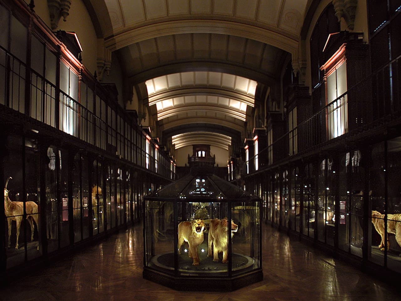 Grande Galerie de l'Évolution: Skip The Line - image 3