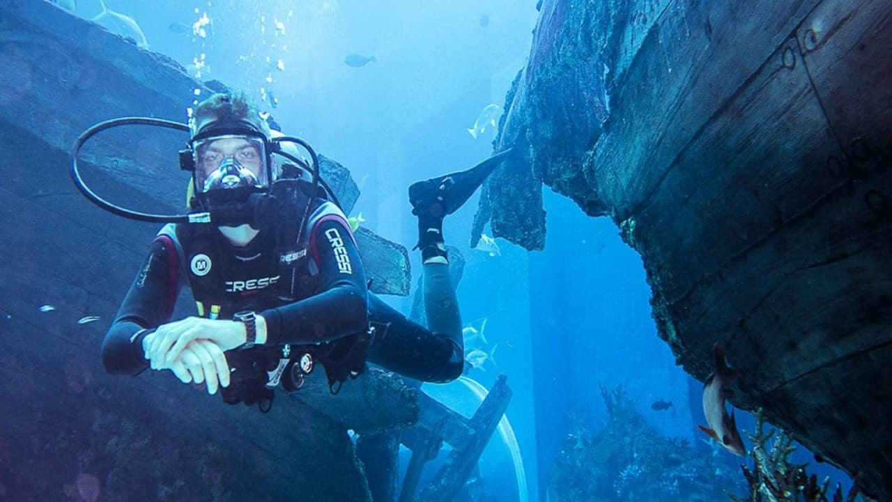 Ultimate Marine Life Experience at Adventure Cove Waterpark - image 7