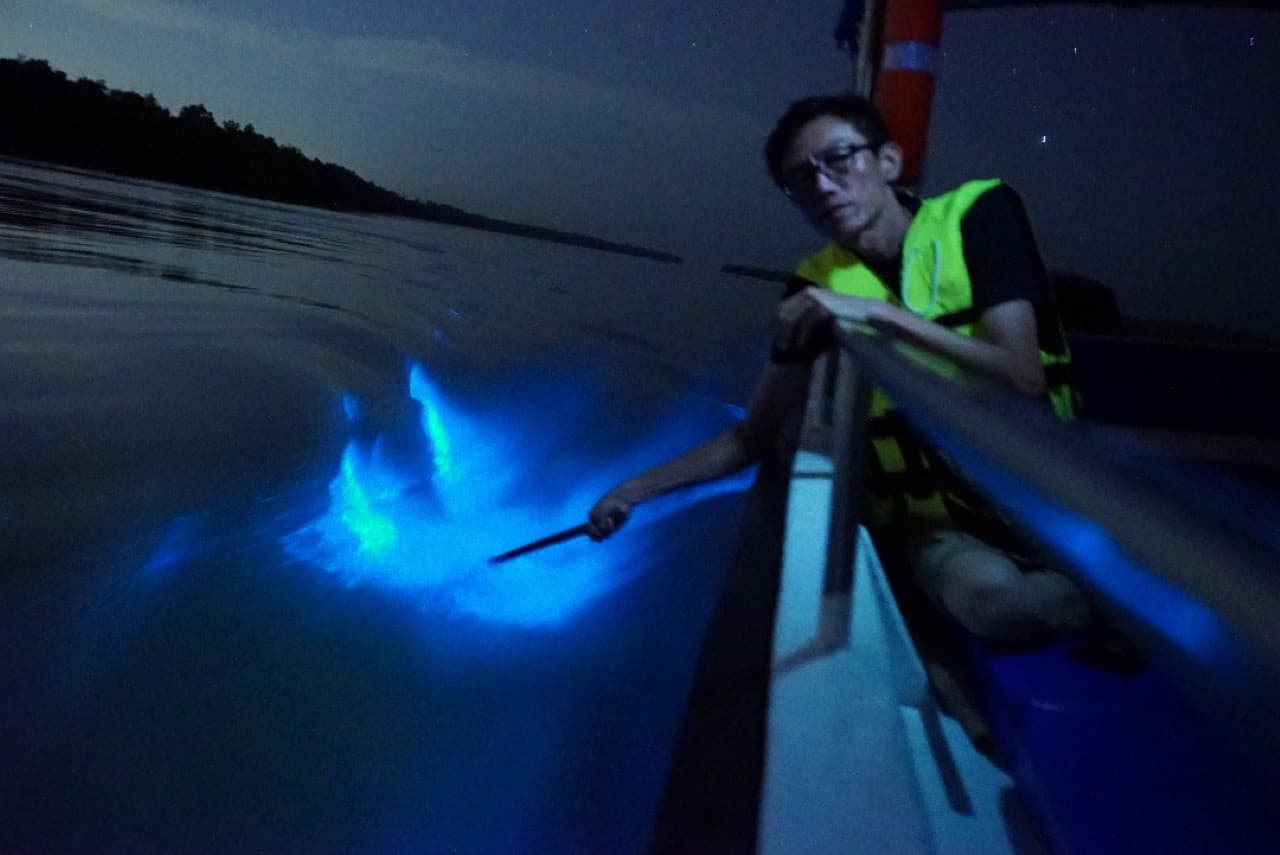 Blue Tears Boat Cruise in Kuala Selangor - image 3