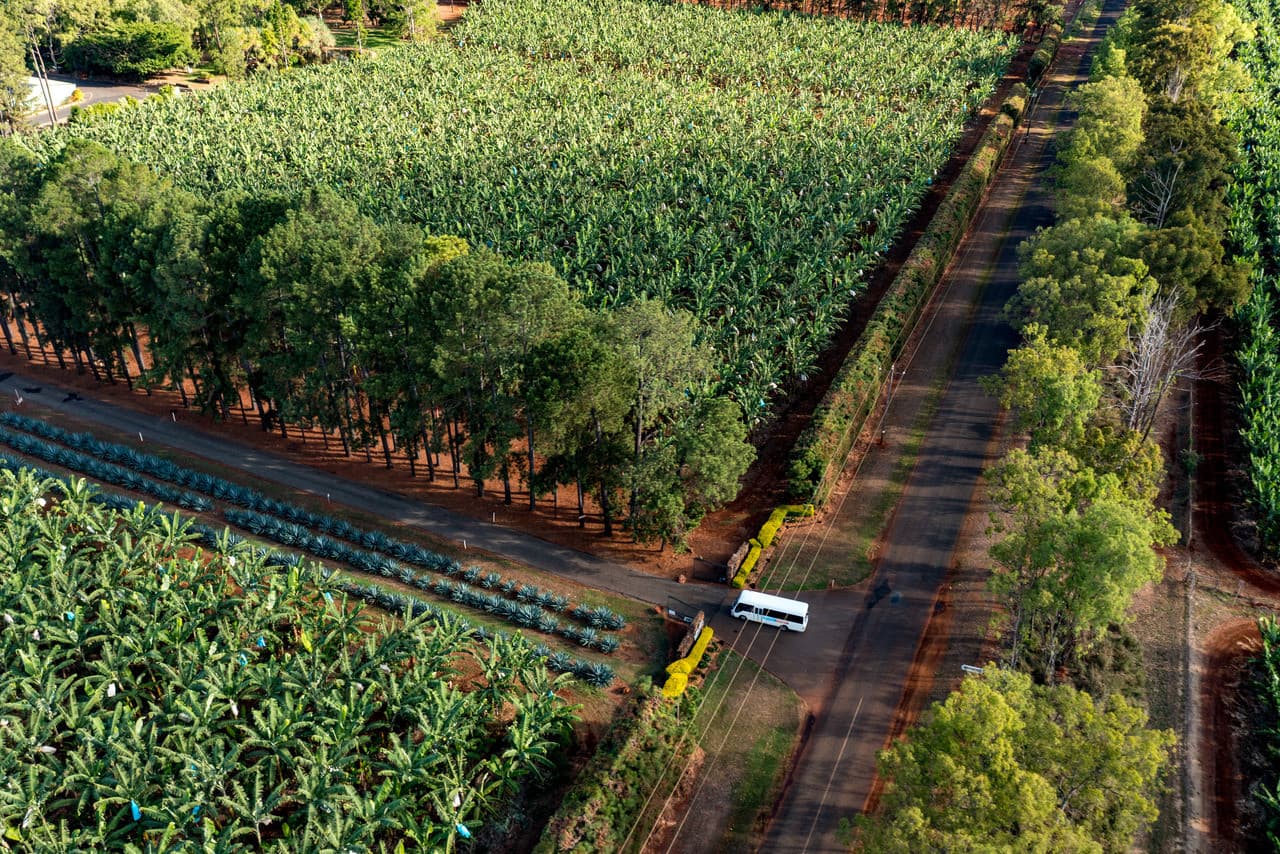Australian Outback Food and Wine Tasting Tour from Cairns and Northern Beaches - image 10
