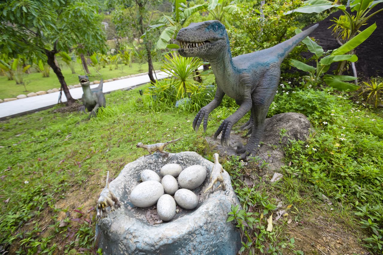 Nui Than Tai Hot Springs Park - image 14