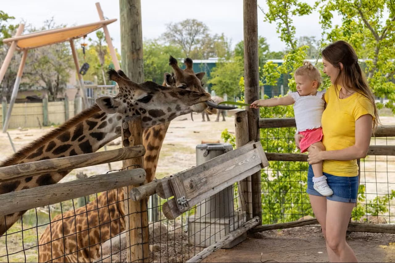 ZooTampa at Lowry Park Ticket - image 2