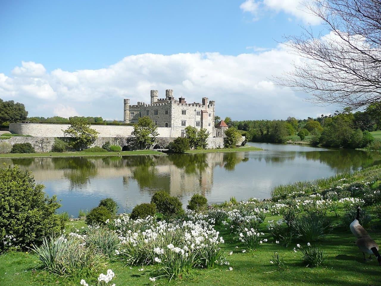Leeds Castle, Canterbury, Dover, and Greenwich Tour from London - image 2