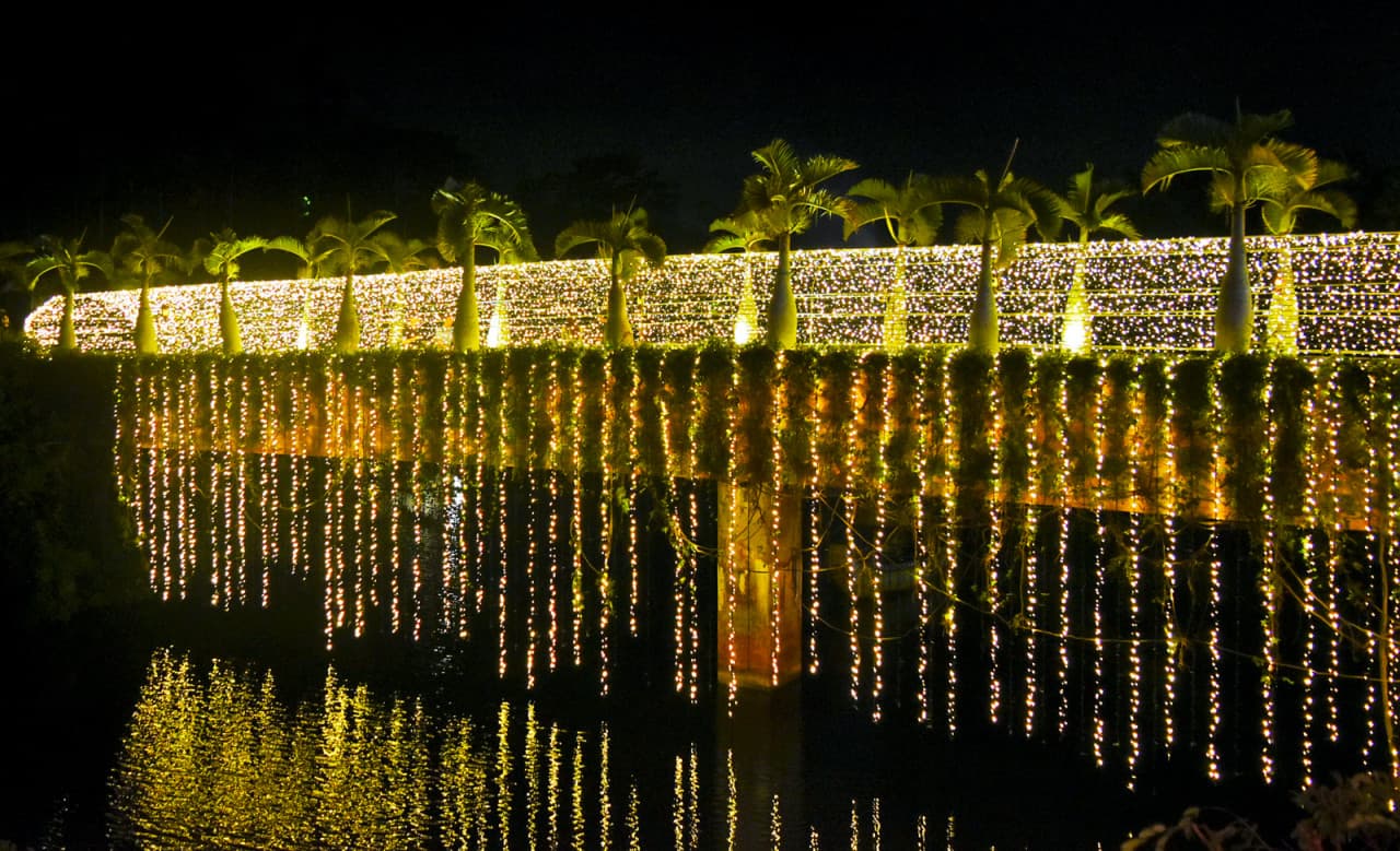 Okinawa Southeast Botanical Gardens - image 21