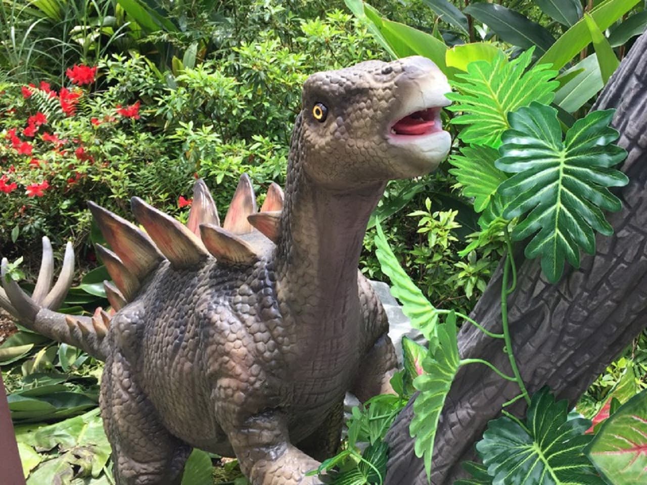 Okinawa Dino Park Yanbaru Subtropical Forest Ticket - image 3