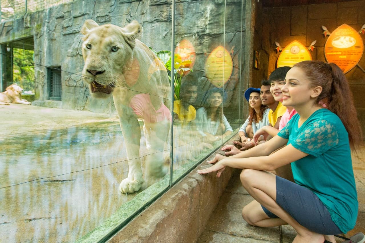 COMBO: Sunway Lagoon Theme Park Ticket + Quack Xpress Pass - image 12