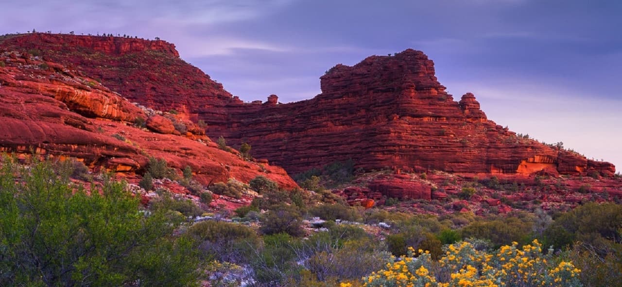 Palm Valley Outback Safari 4WD Tour - imagen 6