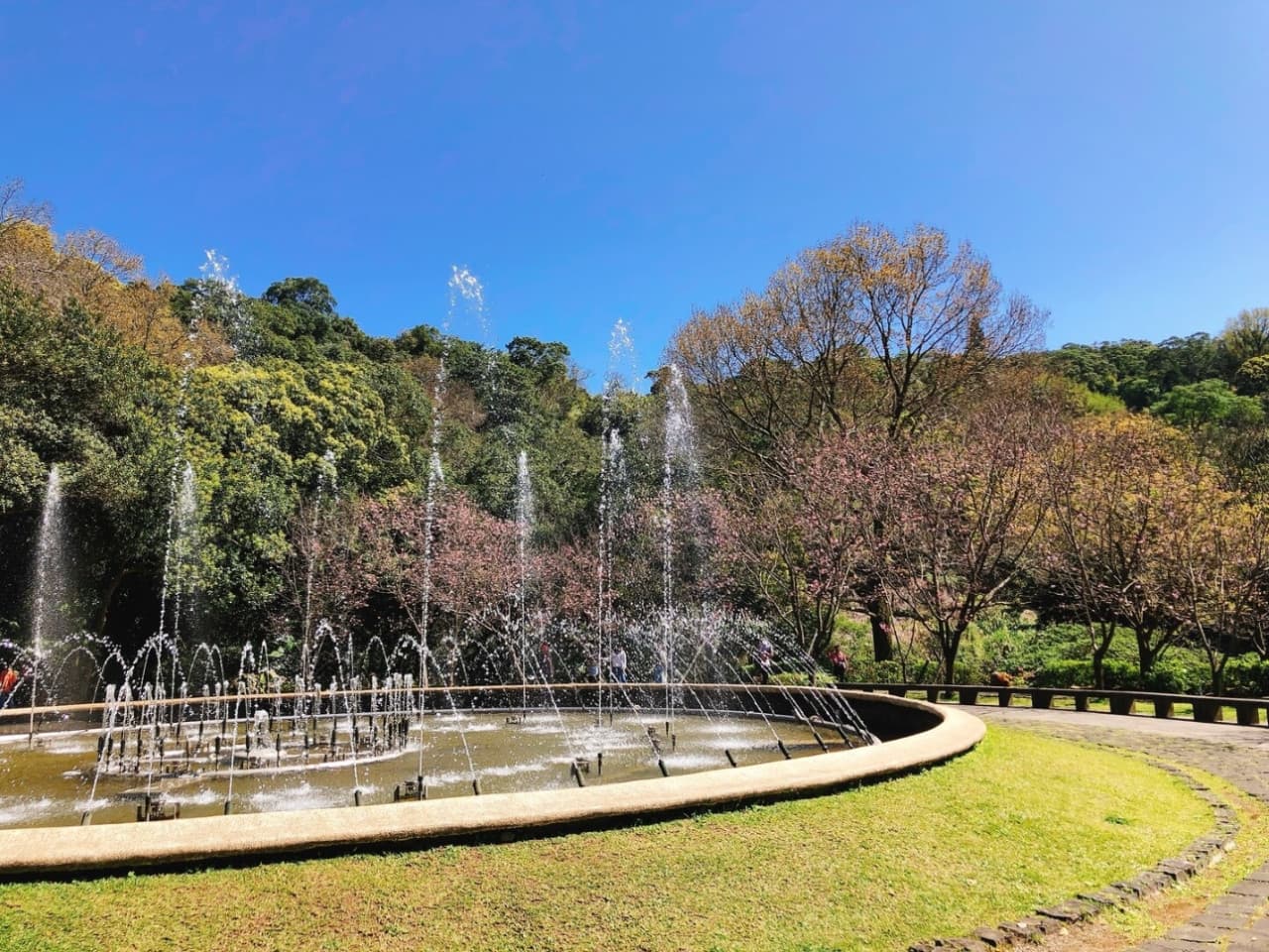 Yangmingshan National Park and Beitou Hot Spring Full-Day Tour from Taipei - image 11