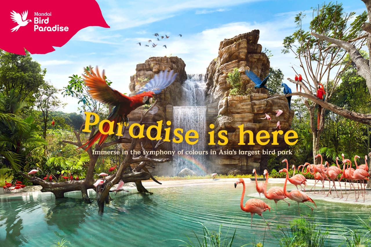 Singapore Bird Paradise Ticket - image 15