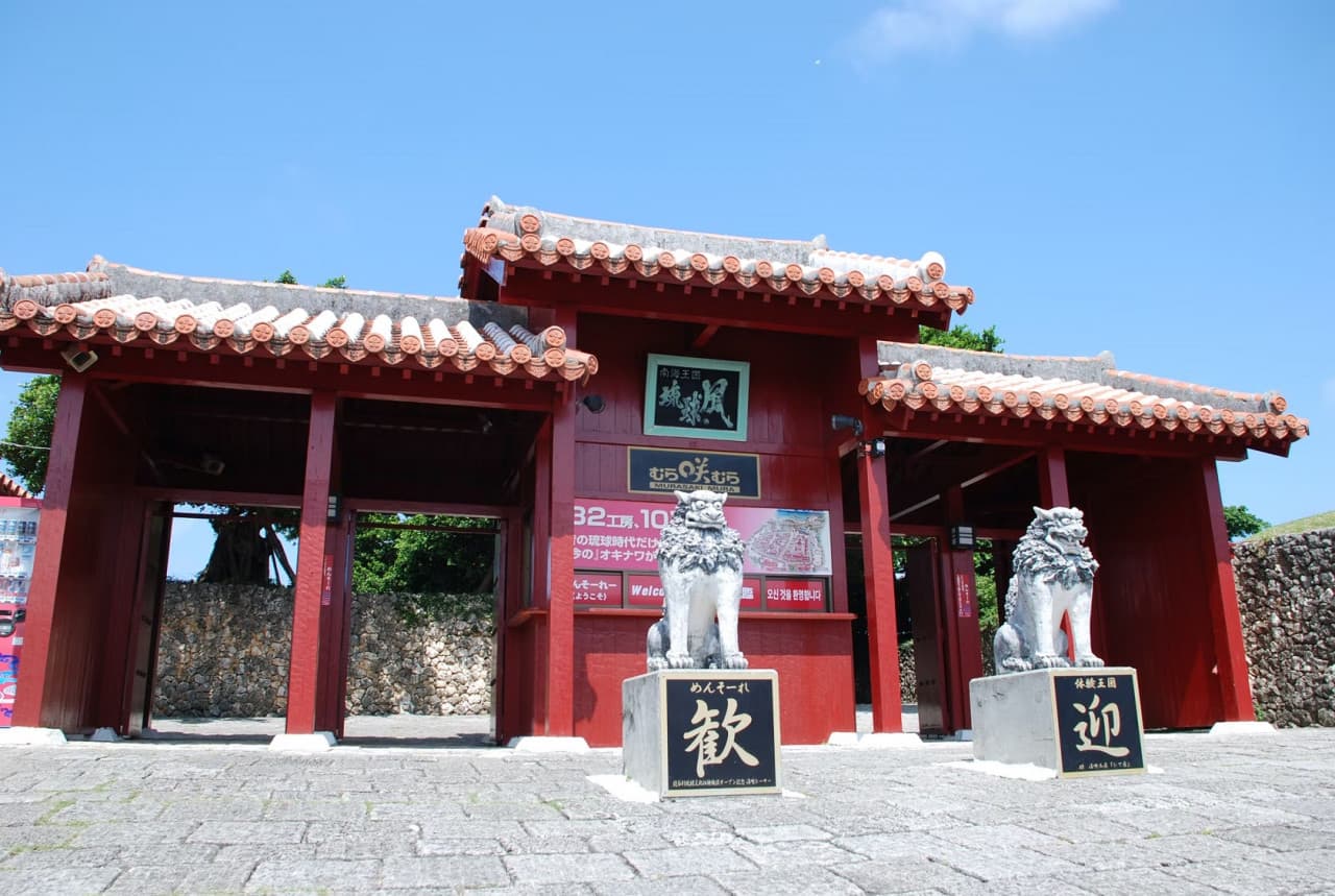 Okinawa Churaumi TokuToku 5 Pass - image 11