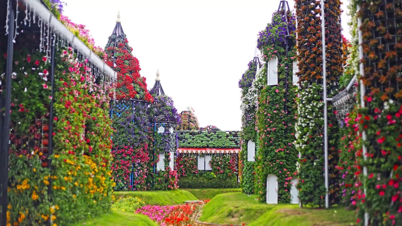 Dubai Miracle Garden Ticket - image 7