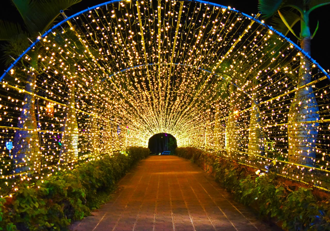 Okinawa Southeast Botanical Gardens - image 17