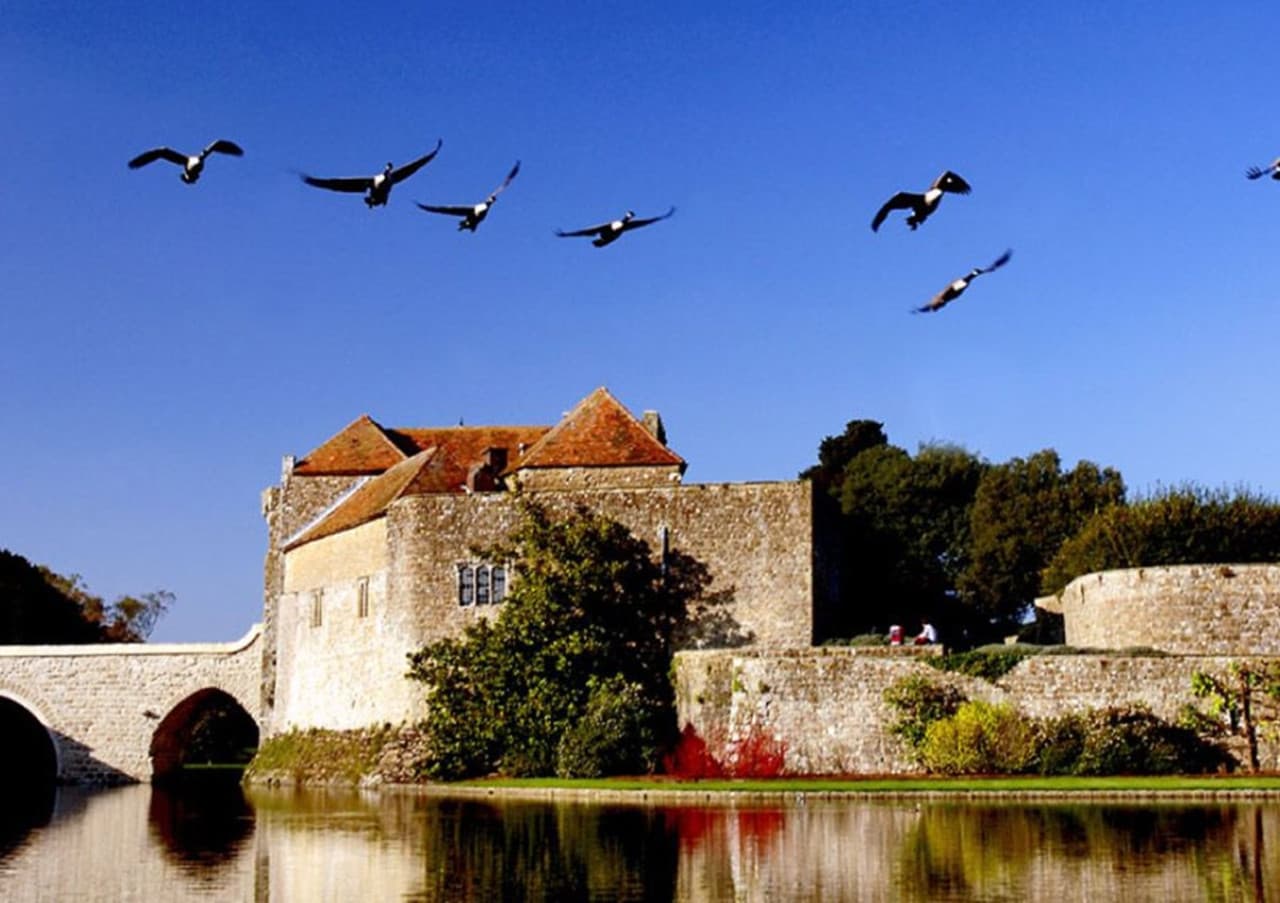 Leeds Castle, Canterbury, Dover, and Greenwich Tour from London - image 20