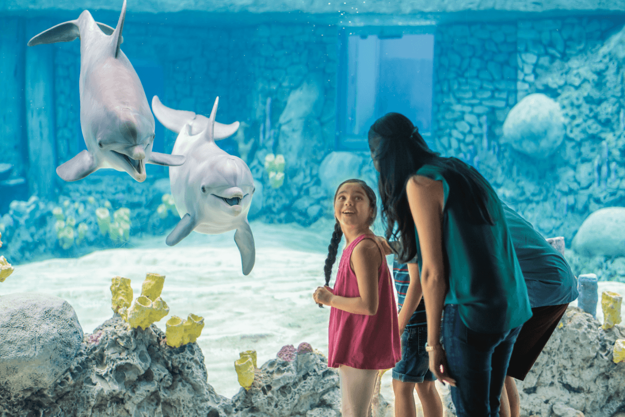 Go City San Antonio Essentials Pass: 3 atracciones - imagen 6