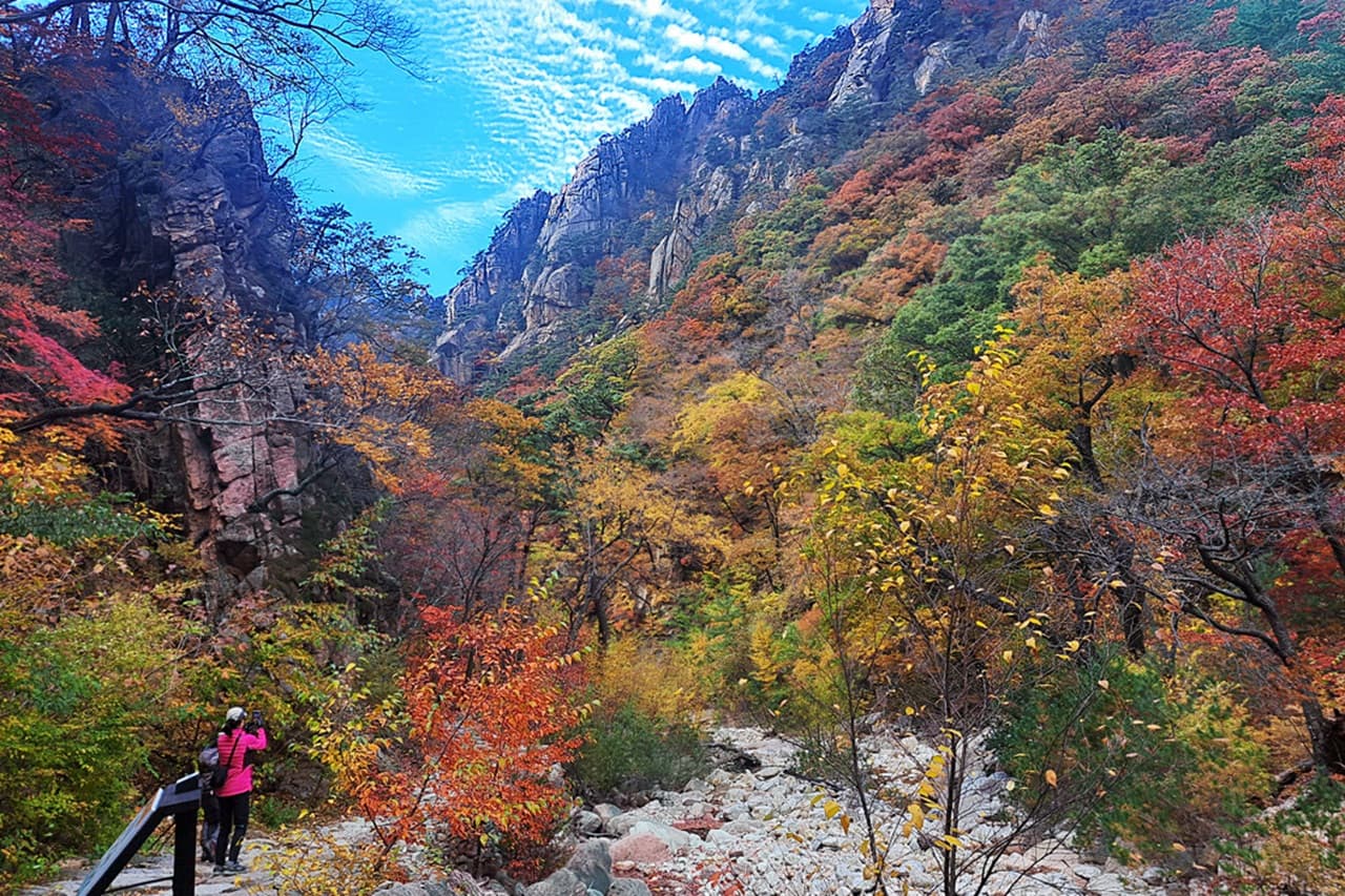 Nami Island and Mount Seorak Full-Day Tour from Seoul - image 2