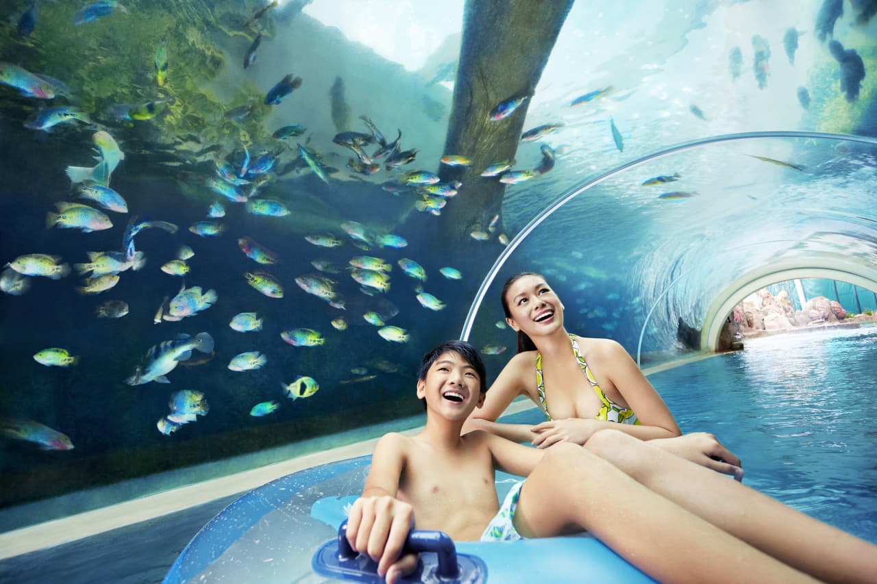 Adventure Cove Waterpark‎ Express Pass - image 2