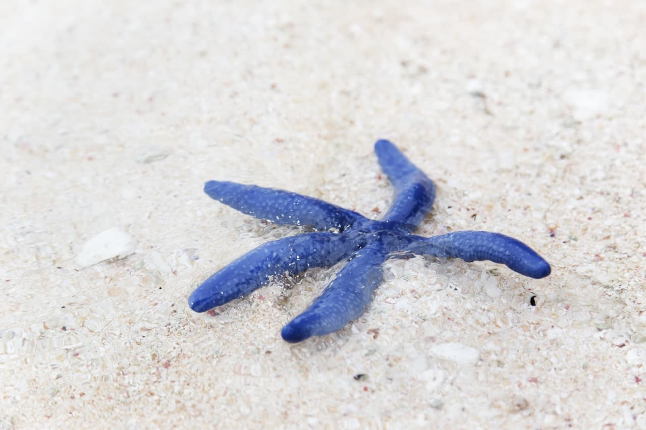 Desaru Beach and Tide Pool Walk - image 2
