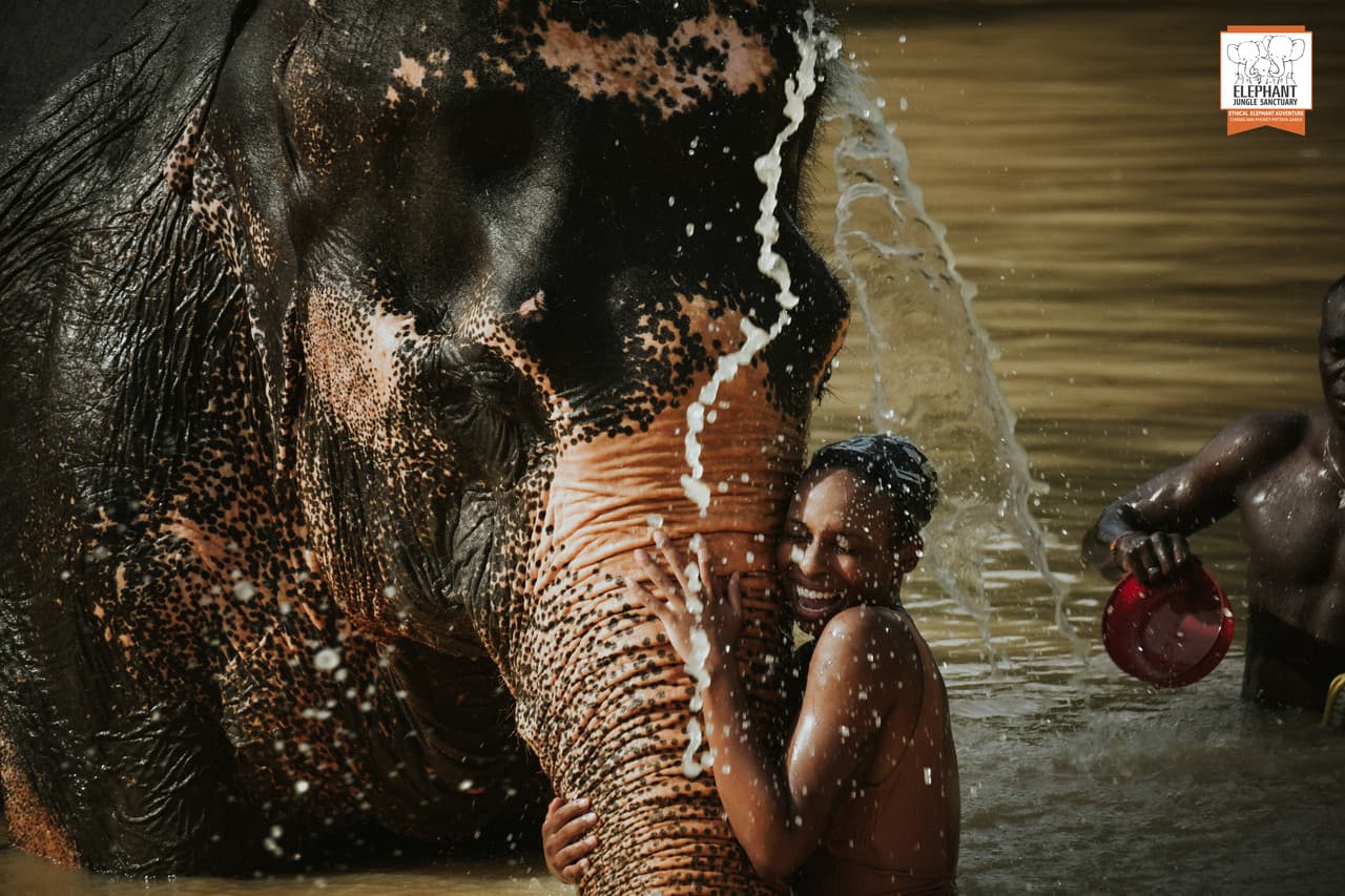 Elephant Jungle Sanctuary Phuket - image 11