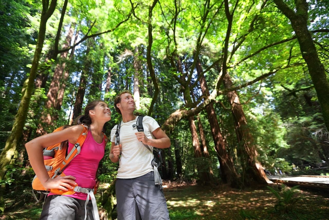 Muir Woods and Sausalito Tour from San Francisco - imagen 2