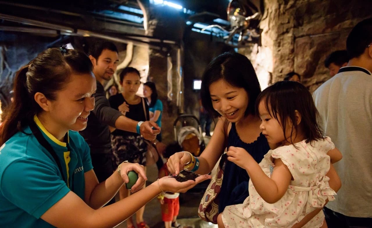 Entopia by Penang Butterfly Farm Ticket - image 13