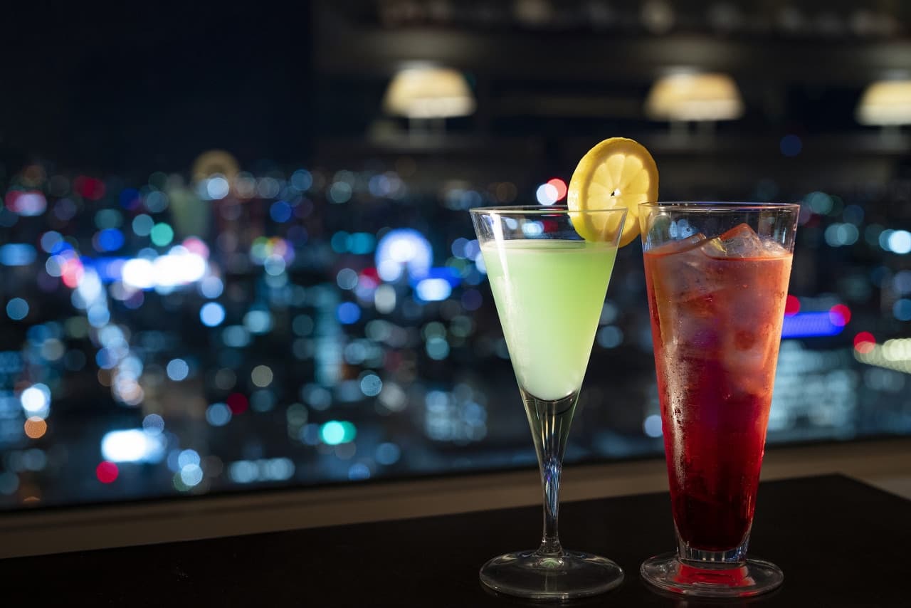 Sapporo JR Tower Observation Deck T38 - image 3