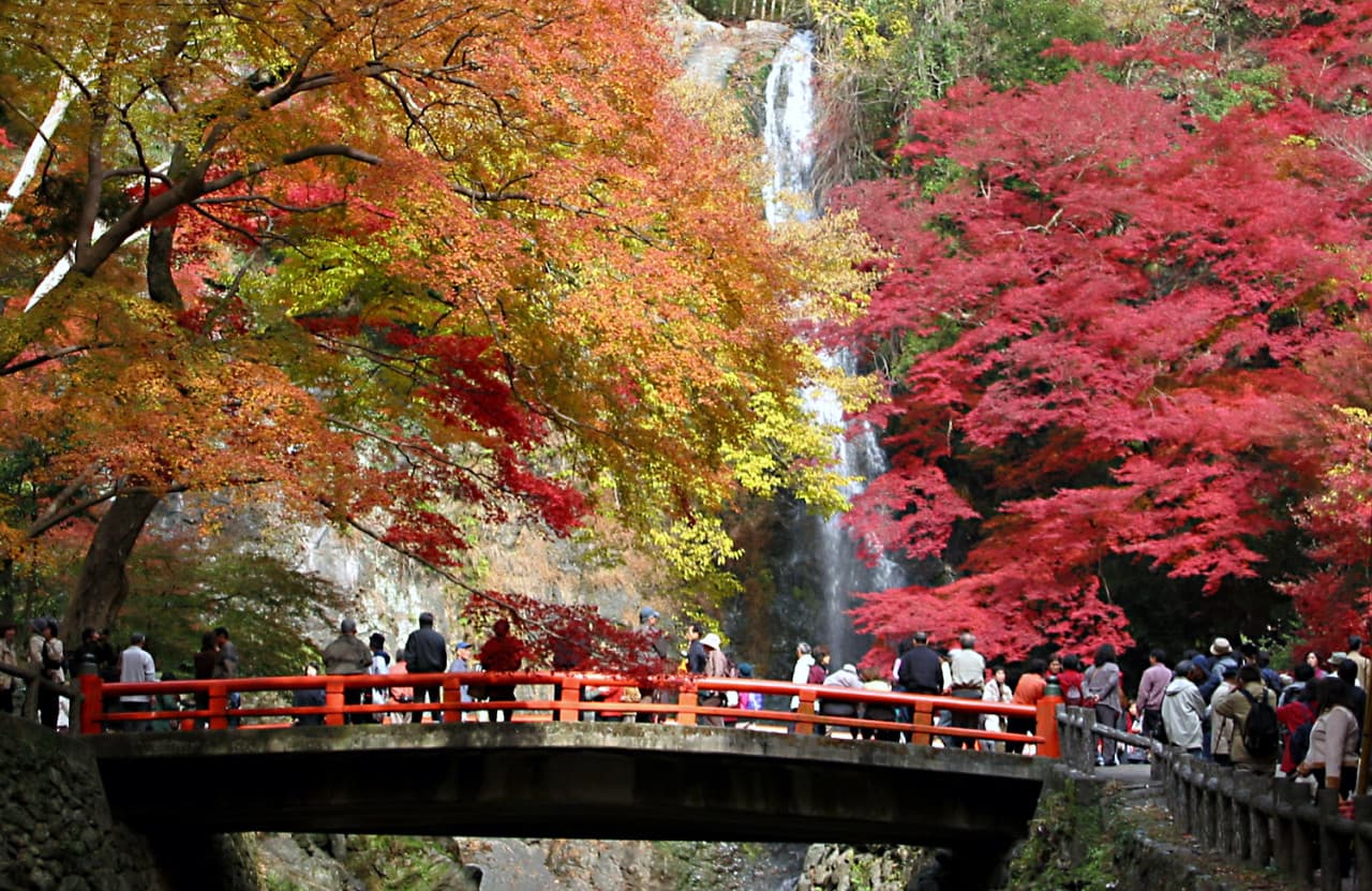 Hankyu One-Day Pass - image 3