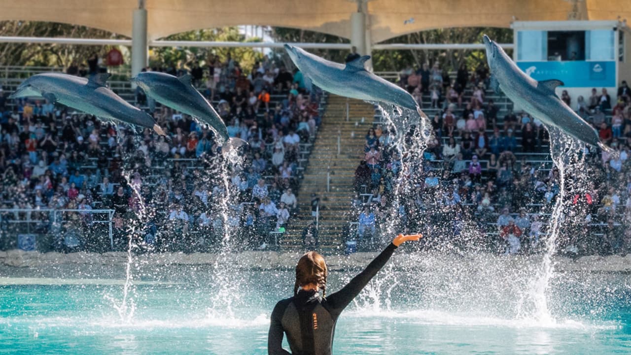 Gold Coast Warner Bros. Movie World, Sea World, Paradise Country and Wet'n'Wild Multiday Pass - image 12