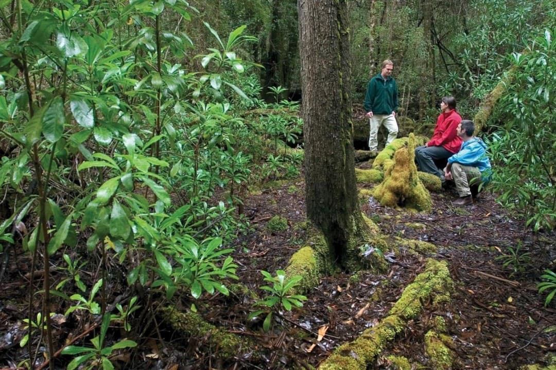 Huon Valley Tour - image 9