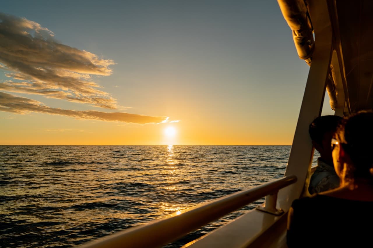 Dinner Cruise from Kona Coast to Kealakekua Bay - image 5