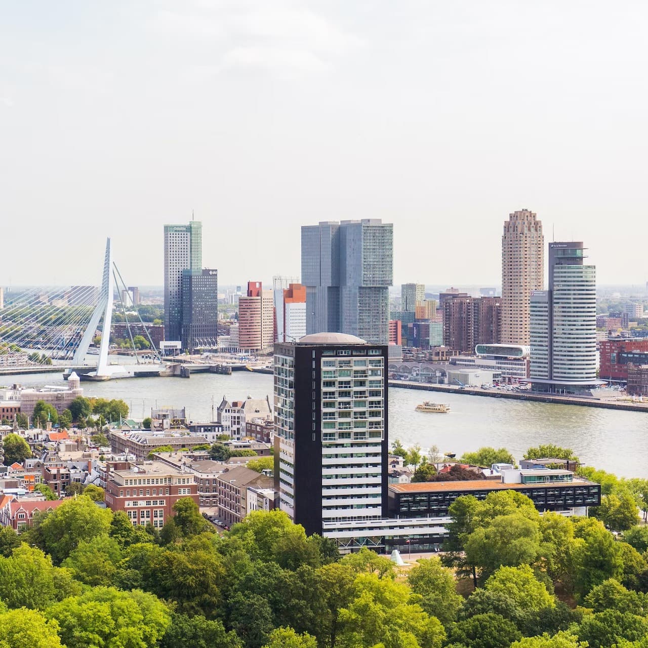The Hague, Delft, and Rotterdam Full-Day Tour from Amsterdam - image 6