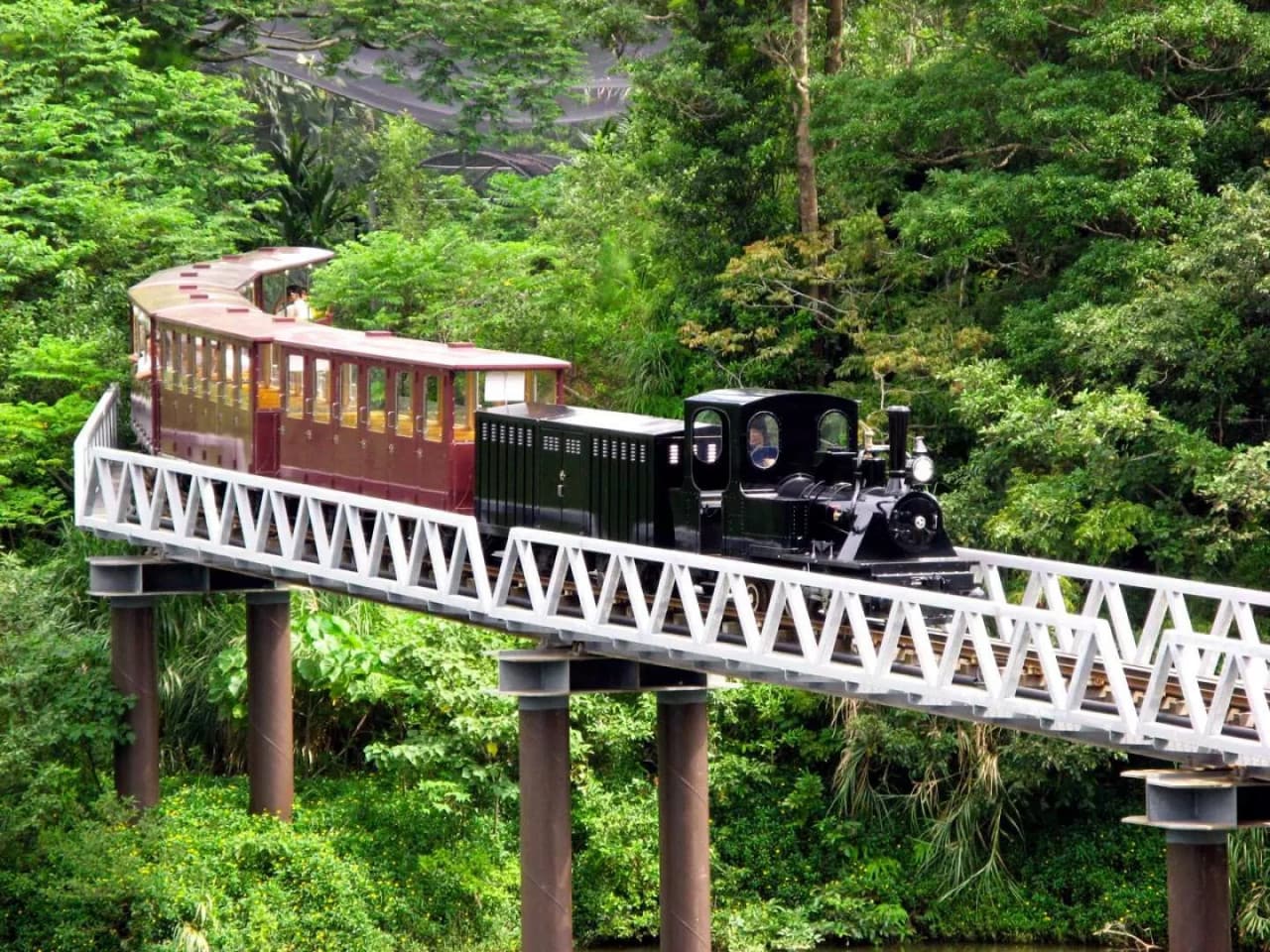 Neo Park Okinawa - image 12