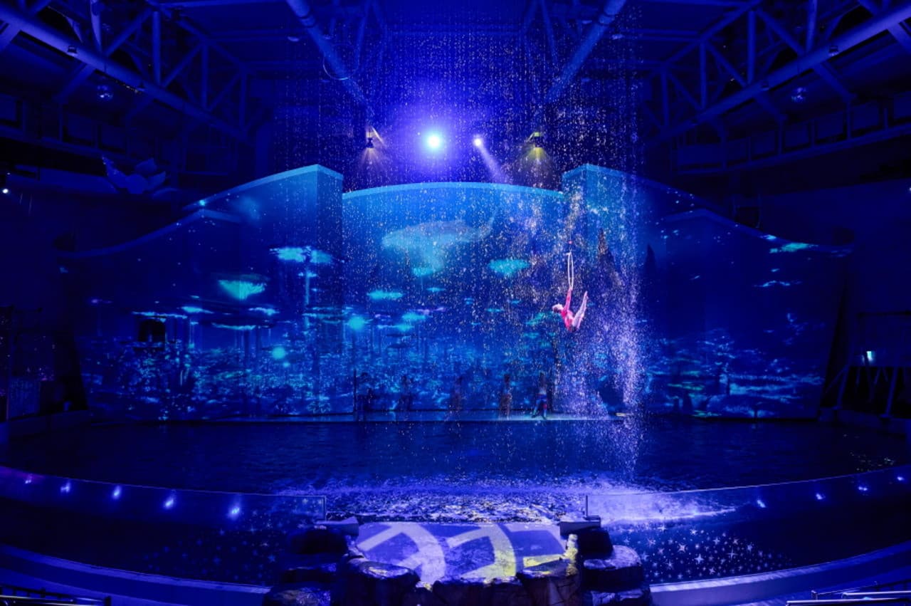 Entrada para el acuario Aqua Planet Jeju - imagen 5